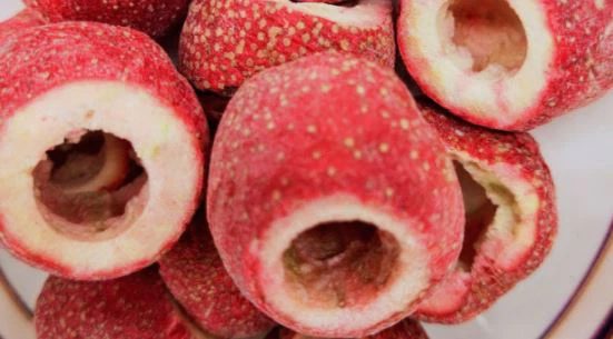 Hawthorn Fruit Freeze Dryer