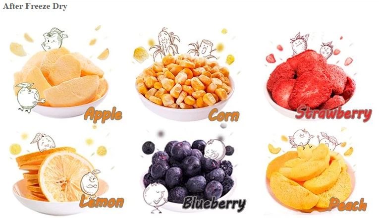 freeze dried fruit