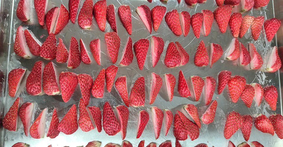 freeze dried strawberry