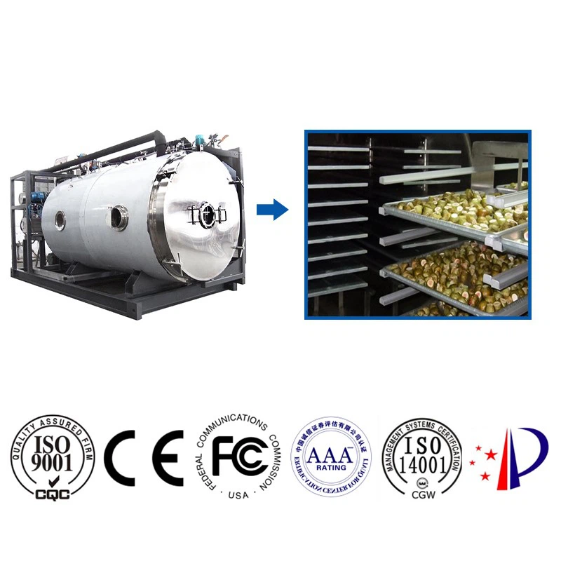 freeze dryer for food processing freeze dryer for food processing
