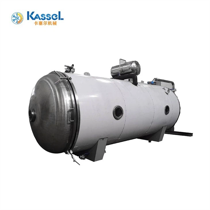 Vacuum Freeze Dryer factory