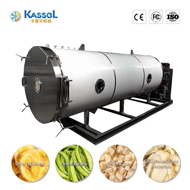 China Vacuum Freeze Dryer wholesale