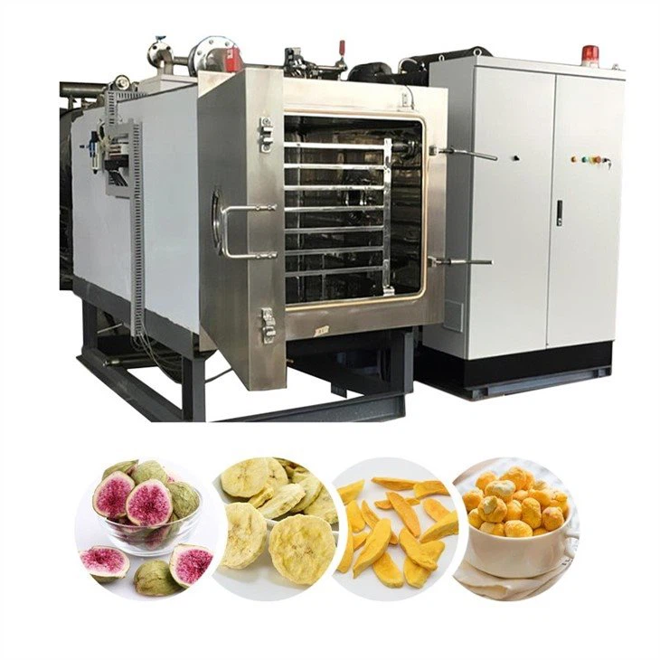 food lyophilizer for fruits