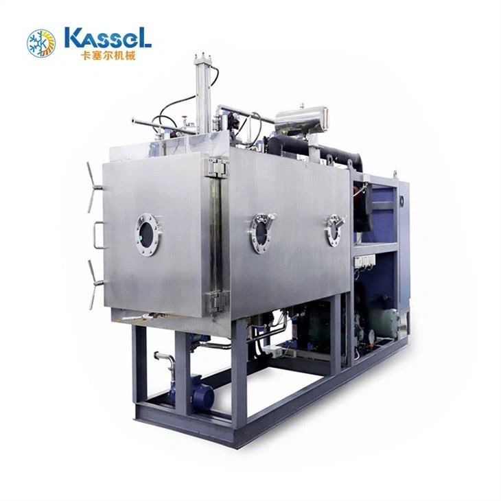 Pharmaceutical Freeze Dryer manufacturers