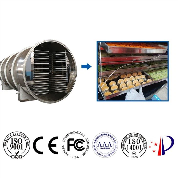 China Fruit Freeze Dryer wholesale