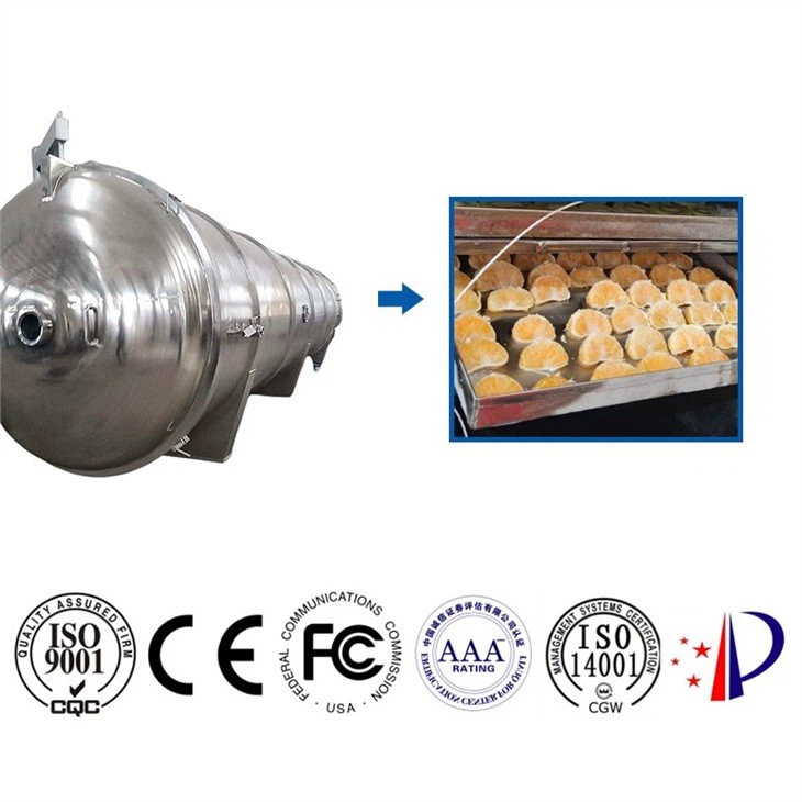 best freeze dryer machine