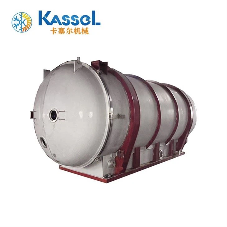 Strawberry Mango Freeze Dryer Machine