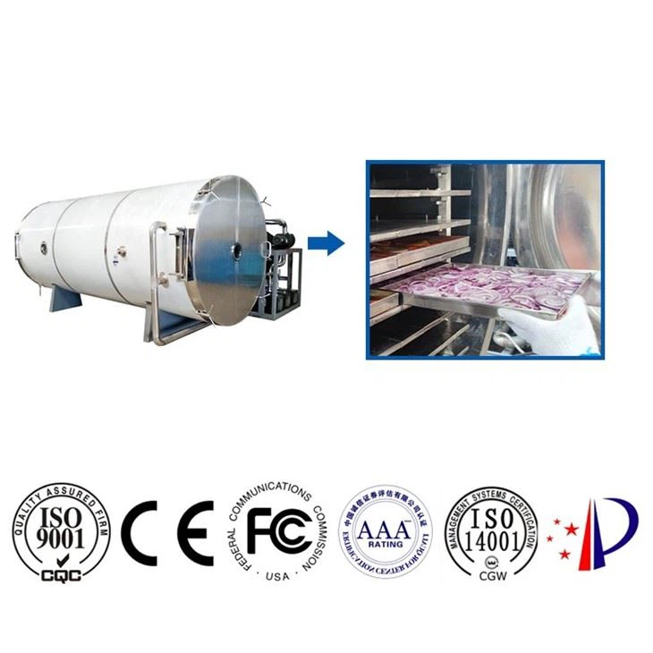 Strawberry Mango Freeze Dryer Machine