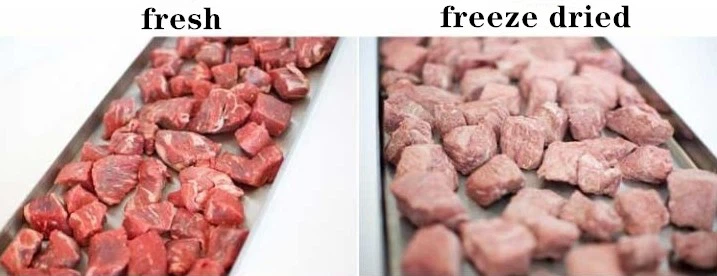 Ground Beef Made Vacuum Freeze Dryer