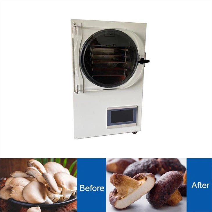 Household Freezing Drying Fruit Dehydration Machine