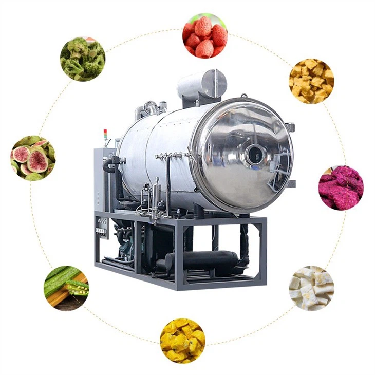 Industrial 75KG Plant Vacuum Freeze Dryer