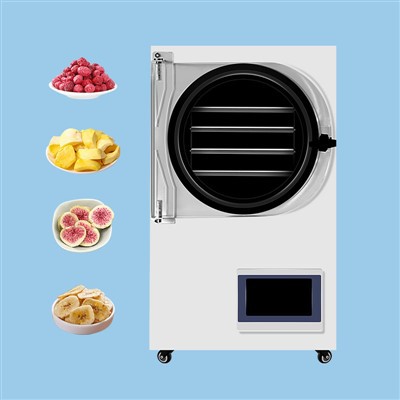 Ginger Herbs Home Mini Freeze Dryer