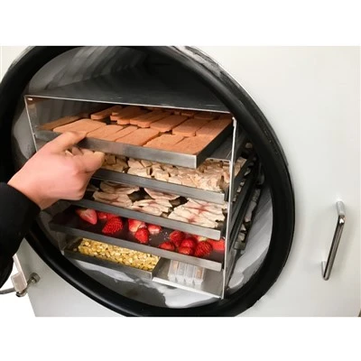 Instant Salad Mini Freeze Dryer